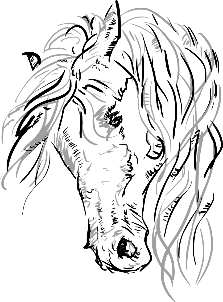 vector-2009418_1280.png